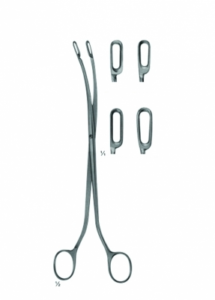 Gall Stone Forceps AE 03 5697 03 5700