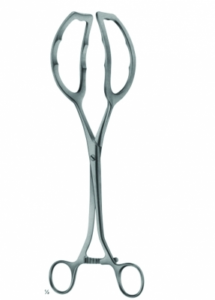 Kidney Elevating Forceps AE 03 5712