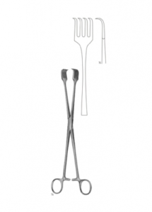 Organ and Tissue Grasping Forceps AE 02 3554