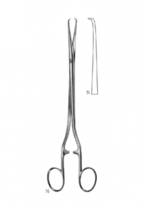 Organ and Tissue Grasping Forceps AE 02 3556