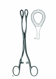 Polypus and Ovum Forceps AE 04 6239