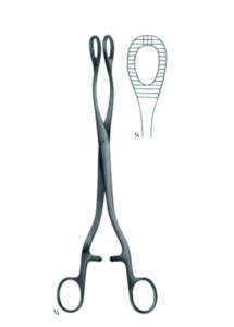 Polypus and Ovum Forceps AE 04 6241