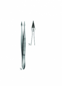 Splinter and Cilia Forceps AE 02 3484