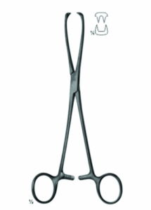 Uterine Tenaculum Forceps AE 04 6231