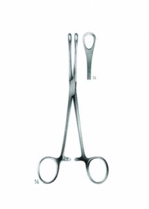 Organ Tissue Grasping Intestinal and Dissecting Forceps AE 03 5493